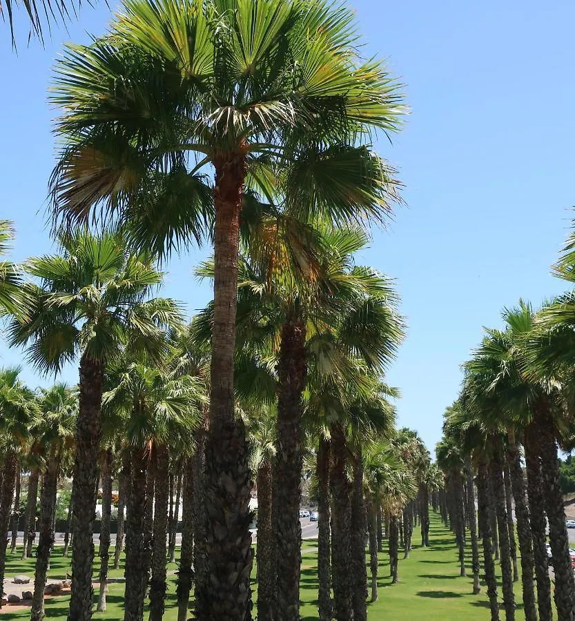 Sunny Suite Tanife By Yumbo Playa del Inglés