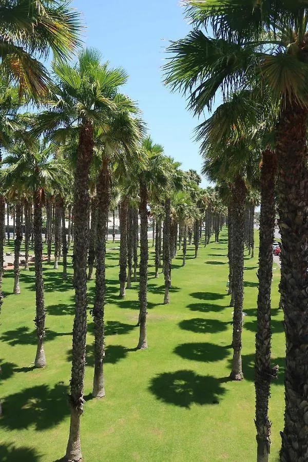 Sunny Suite Tanife By Yumbo Playa del Inglés